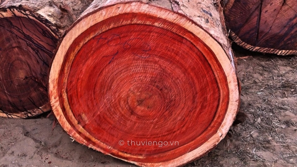 Bảng phân loại gỗ tự nhiên theo TCVN